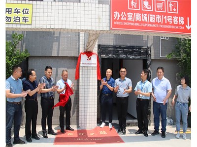 热烈祝贺广州市花都区艾买菜公司合成市场党支部成立揭牌！